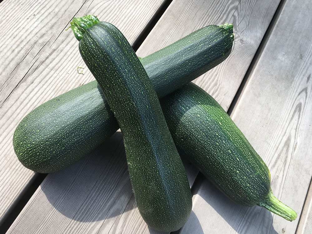 Vier grüne Zucchini auf einer grauen Holzoberfläche. Eine Zucchini liegt horizontal auf den anderen drei, die vertikal in einer Dreiecksformation angeordnet sind. Die Zucchini, perfekt für Urban Gardening Hamburg, haben eine glatte Textur mit kleinen hellen Sprenkeln.